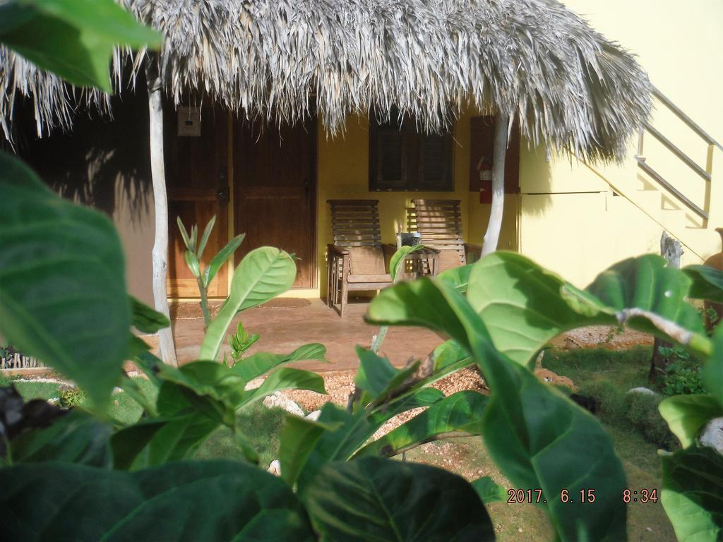 Kudehya Guesthouse Treasure Beach Esterno foto
