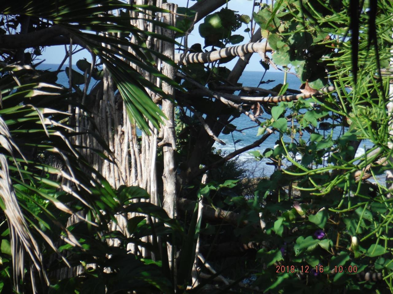 Kudehya Guesthouse Treasure Beach Esterno foto
